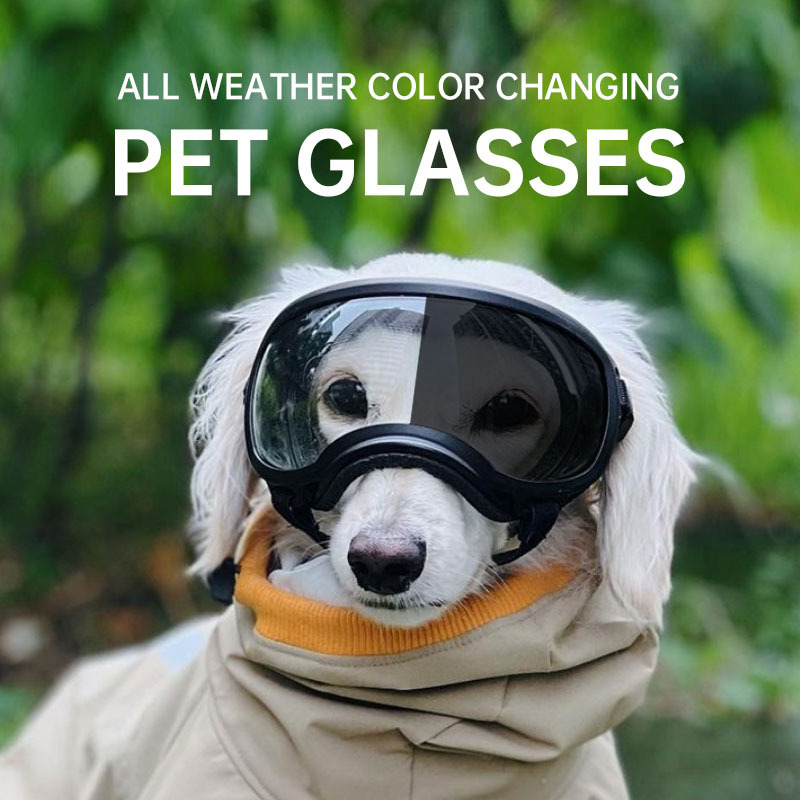 Snow Goggle Uv - Okulary dla zwierząt zmieniające kolor, okulary