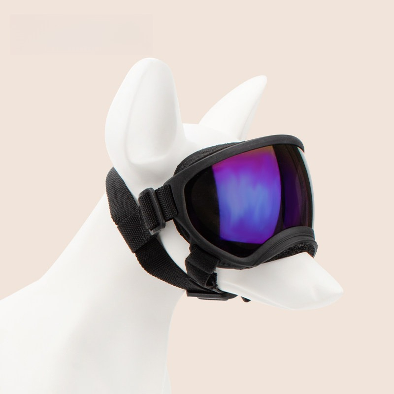 Okulary dla psów do jazdy na n – Snow Goggle Uv recenzja i cena